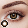 Supersize Brown Plus 6 Months Contact Lenses