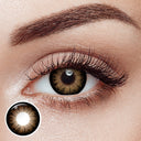 Supersize Brown Plus 6 Months Contact Lenses